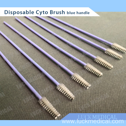 Gynaecology Thinprep Cervical Brush Pap Smear China Manufacturer